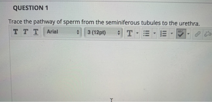 Solved QUESTION 1 Trace The Pathway Of Sperm From The Chegg