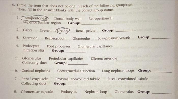 Solved Circle The Term That Does Not Belong In Each Of Chegg