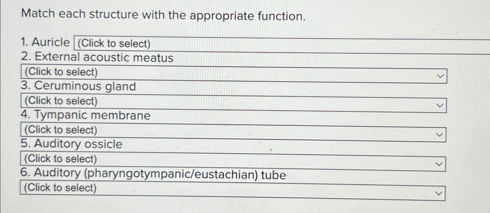 Solved Match Each Structure With The Appropriate Chegg