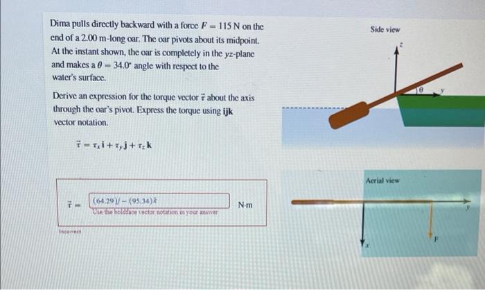 Solved Side View Dima Pulls Directly Backward With A Force Chegg