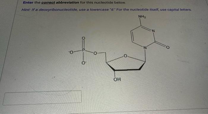 Solved S Enter The Correct Abbreviation For This Nucleotide Chegg