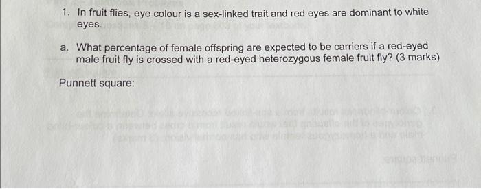 Solved 1 In Fruit Flies Eye Colour Is A Sex Linked Trait Chegg