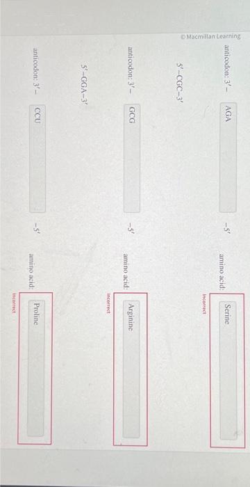 Solved For Each Codon Provide The Anticodon And The Chegg