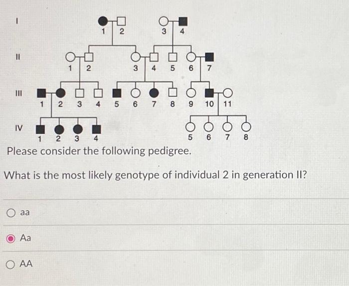 Solved Please Consider The Following Pedigree What Is The Chegg