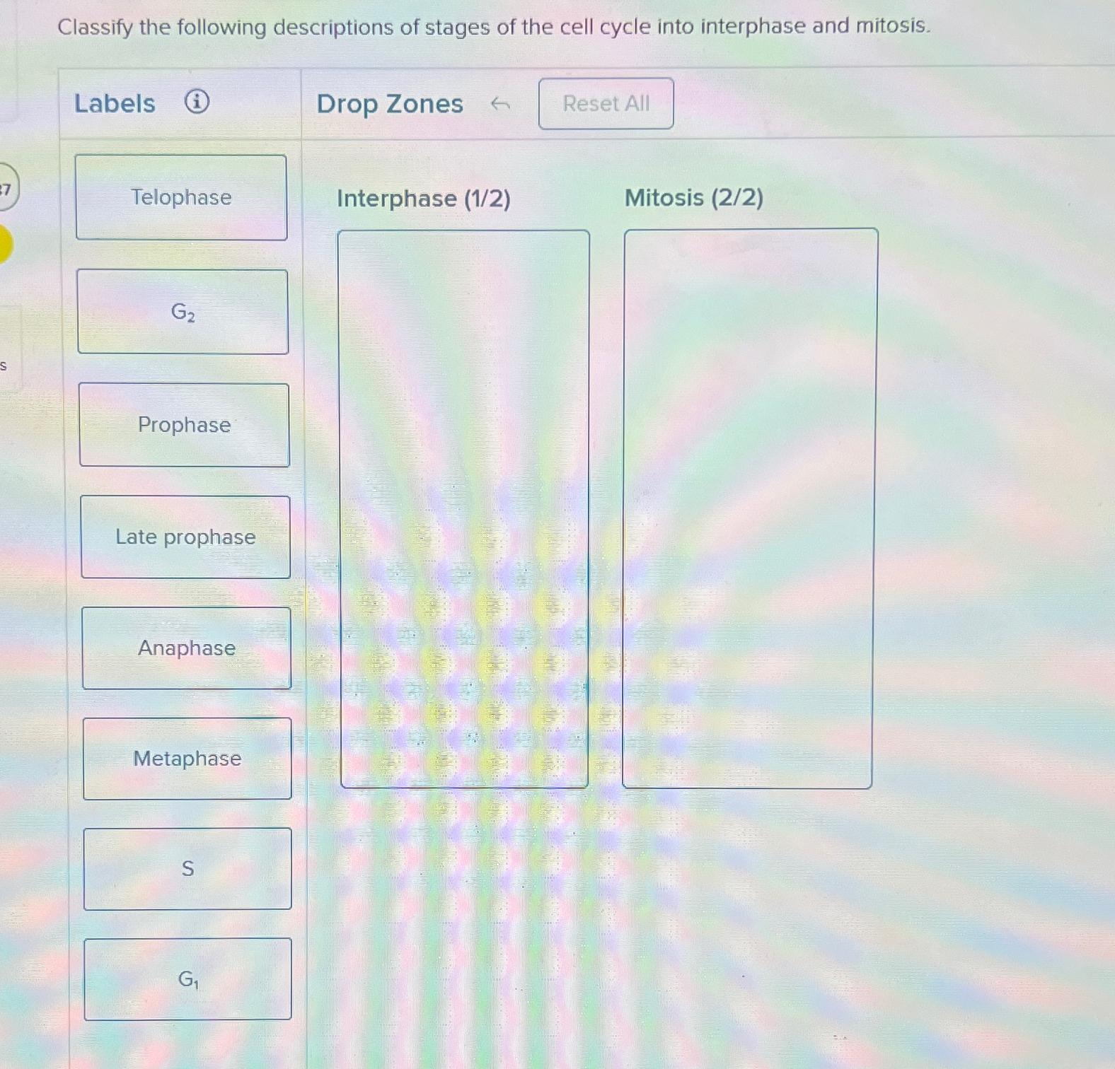 Solved Classify The Following Descriptions Of Stages Of The Chegg