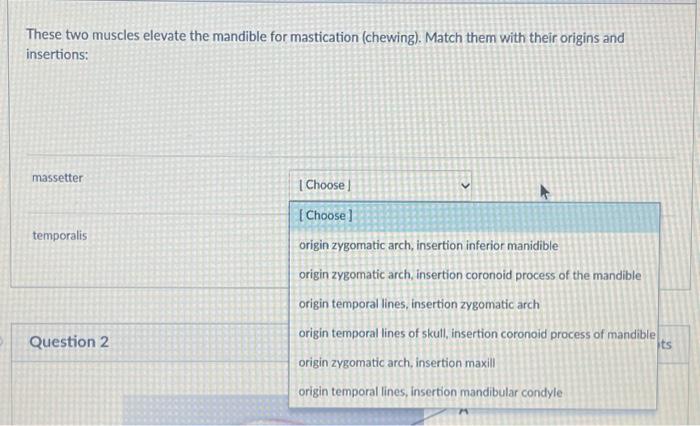 Solved These Two Muscles Elevate The Mandible For Chegg
