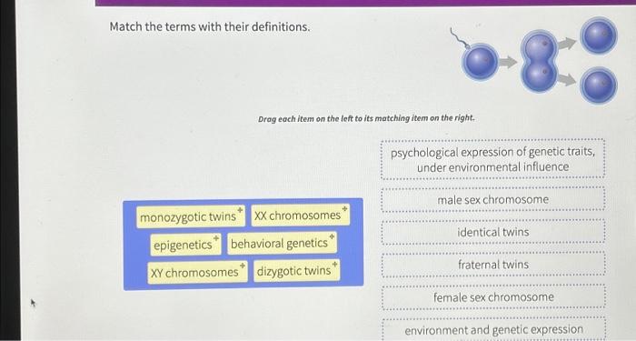 Solved Match The Terms With Their Definitions Drag Each Chegg