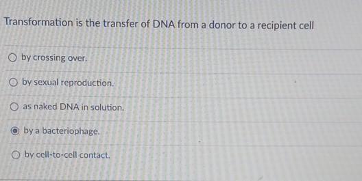 Solved Transformation Is The Transfer Of Dna From A Donor To Chegg