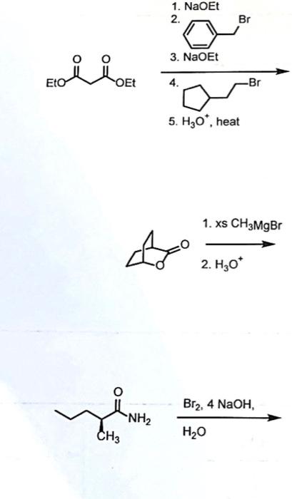 Solved 1 NaOEt 2 Br 3 NaOET Eto OEt 4 Br 5 H20 Heat Chegg