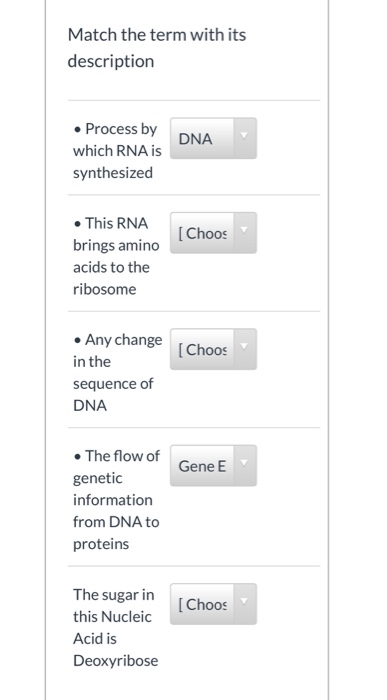 Solved Match The Term With Its Description Process By DNA Chegg