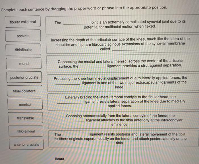 Solved Complete Each Sentence By Dragging The Proper Word Or Chegg