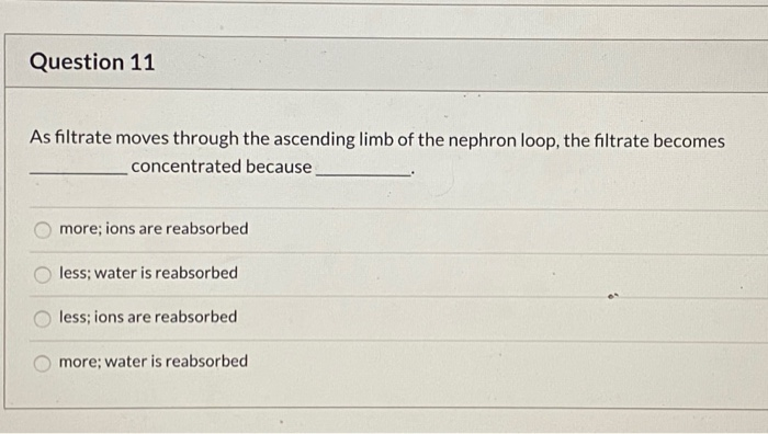 Solved Question As Filtrate Moves Through The Ascending Chegg