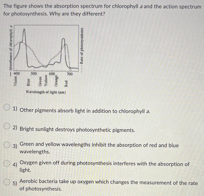 Solved The Figure Shows The Absorption Spectrum For Chegg