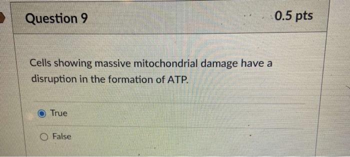 Solved Question 7 0 5 Pts Plant Growth Was Greater During Chegg