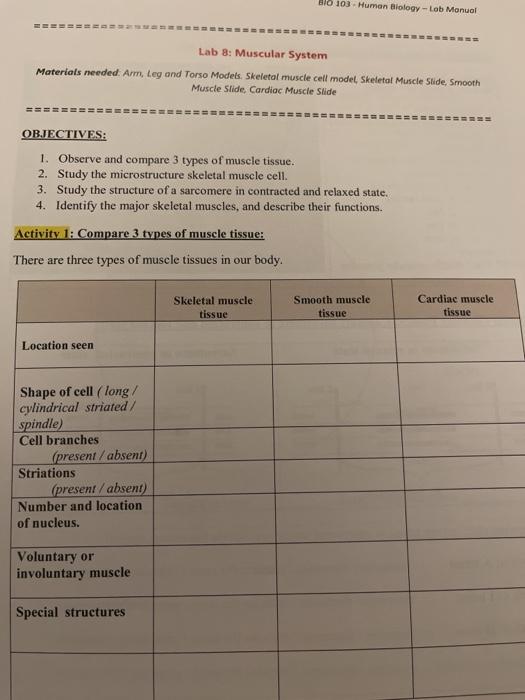 Solved BIO 103 Human Biology Lob Manual Lab 8 Muscular Chegg