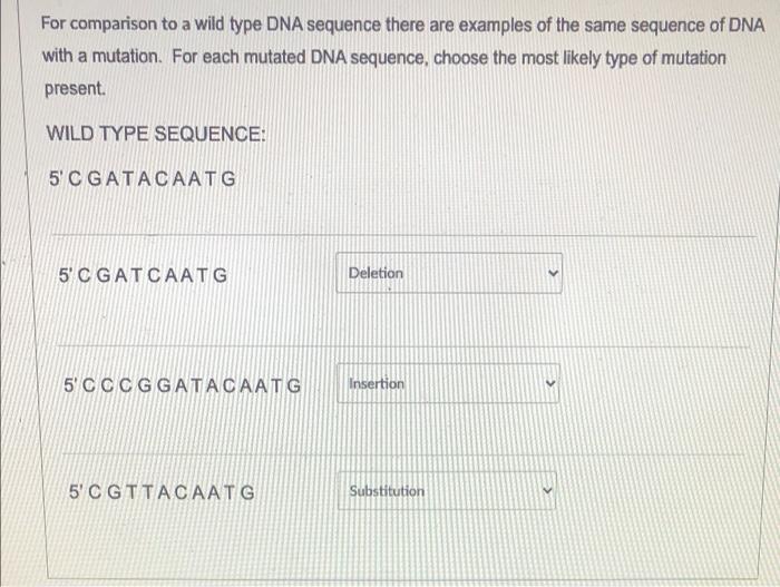 Solved For Comparison To A Wild Type Dna Sequence There Are Chegg