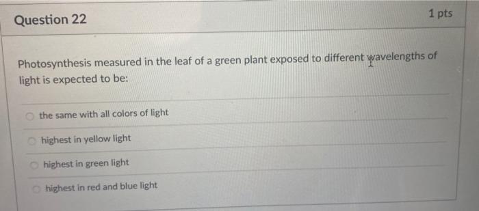 Solved What Is The Role Of Nadph In Photosynthesis As Part Chegg