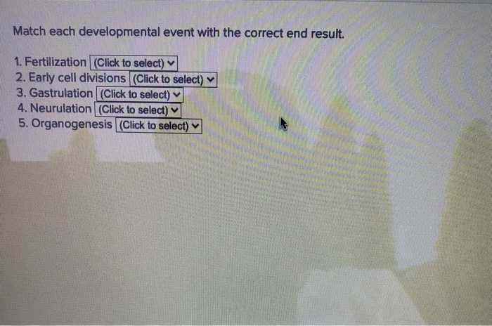 Solved Match Each Developmental Event With The Correct End Chegg