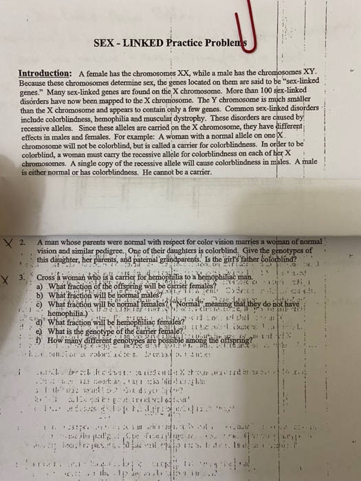 Solved SEX LINKED Practice Problems Introduction A Female Chegg