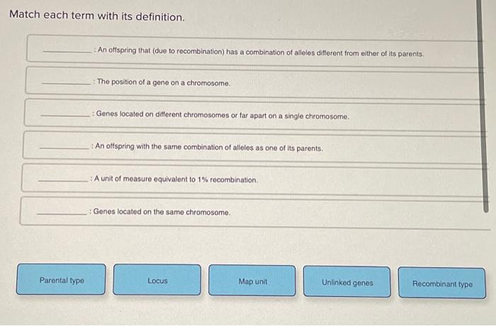 Solved Match Each Term With Its Definition An Offspring Chegg