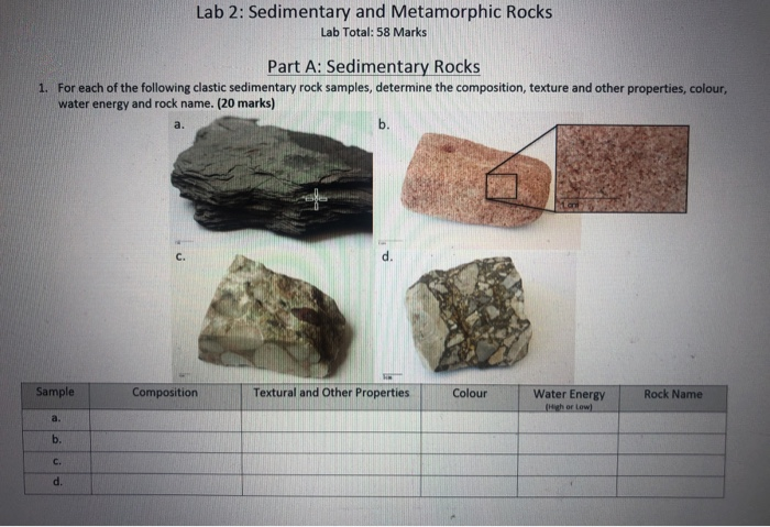 Solved Lab 2 Sedimentary And Metamorphic Rocks Lab Total Chegg