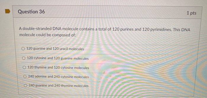 Solved Question Pts A Double Stranded Dna Molecule Chegg