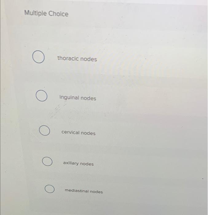 Solved Which Structure Is Highlighted Multiple Choice O Chegg