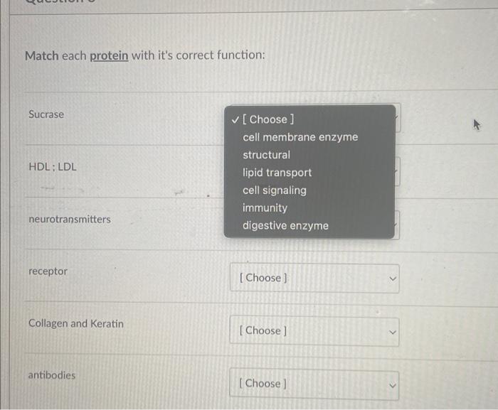 Solved Match Each Protein With It S Correct Function Chegg