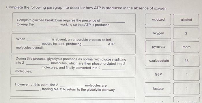 Solved Complete The Following Paragraph To Describe How Atp Chegg