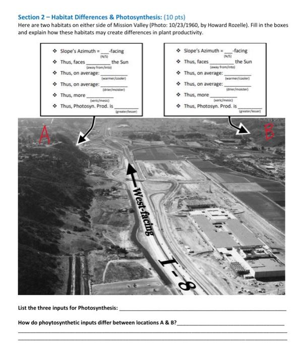 Solved Section Habitat Differences Photosynthesis Chegg