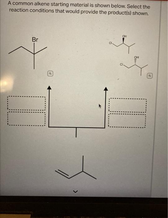 Solved A Common Alkene Starting Material Is Shown Below Chegg