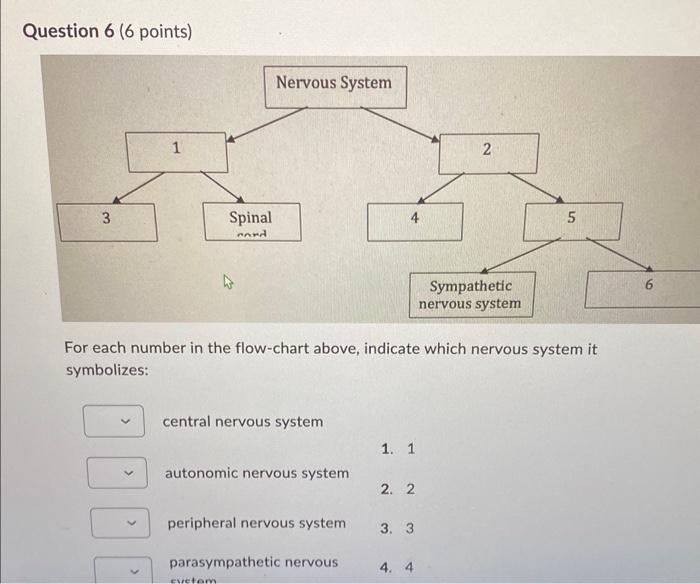 Solved Match Each Description With The Most Appropriate Chegg