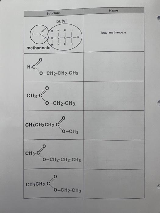 Solved Esterification Ester Synthesis Reactions Alcohol Chegg