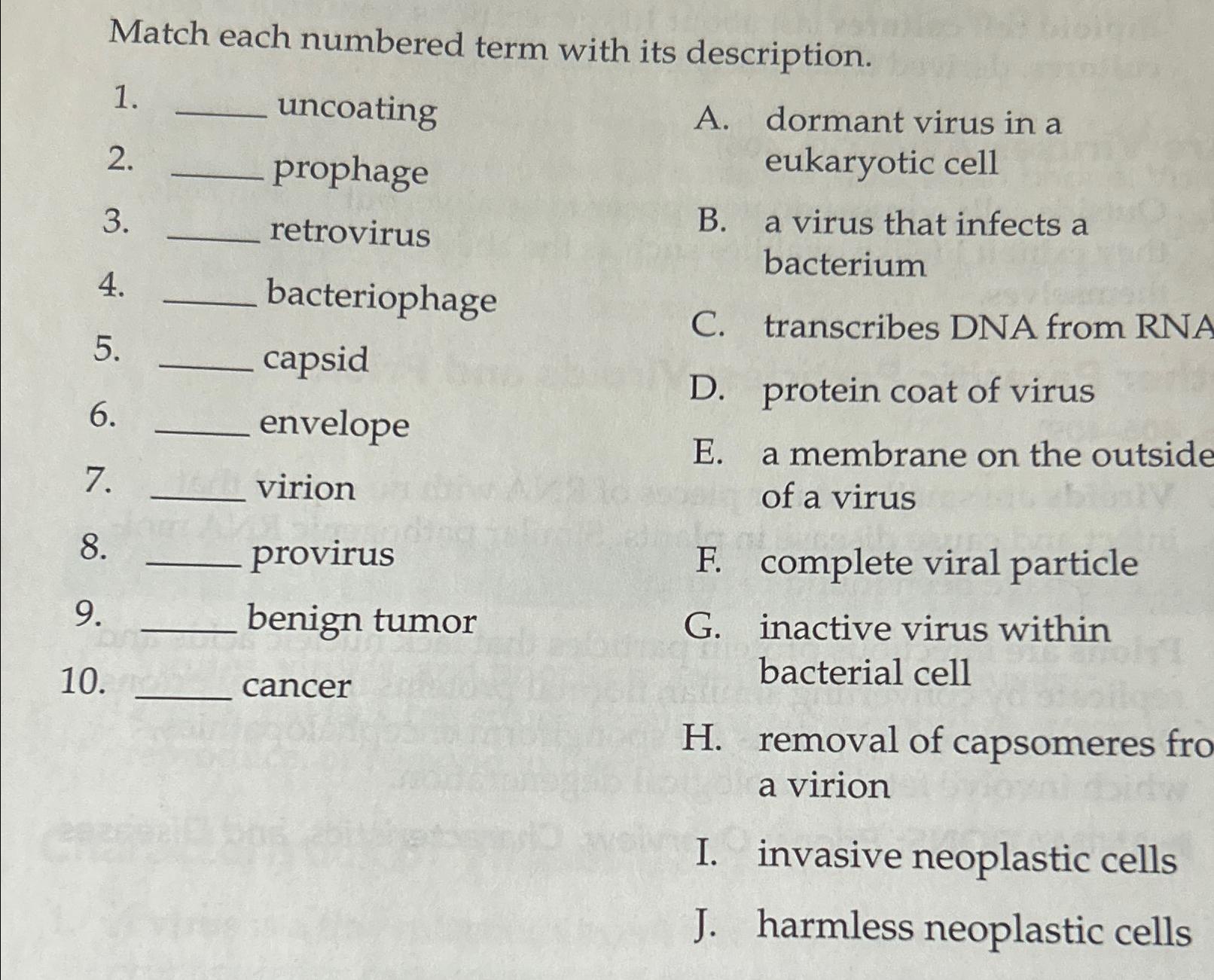 Solved Match Each Numbered Term With Its Chegg