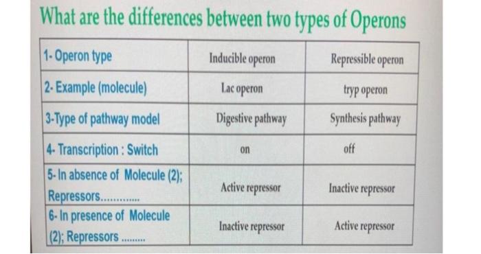 Solved Examples Of Operons In Bacteria 1 Inducible Operon Chegg