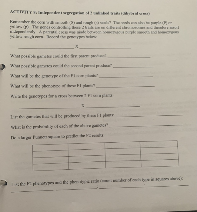 Solved Activity Independent Segregation Of Unlinked Chegg