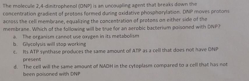 Solved The Molecule Dinitrophenol Dnp Is An Uncoupling Chegg