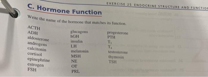 Solved Exercise Endocrine Structure And Function Chegg