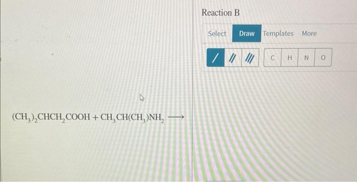 Solved Draw The Amide Formed When 1 Methylethylamine Chegg