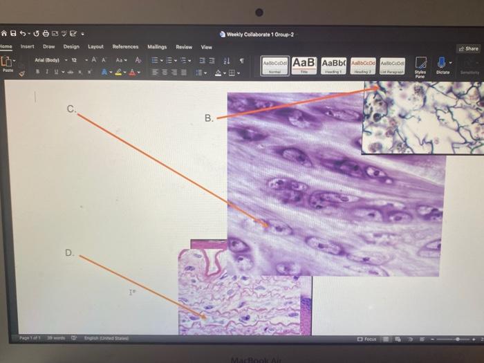 Solved Insert Draw Design Layout References Mailings Review Chegg