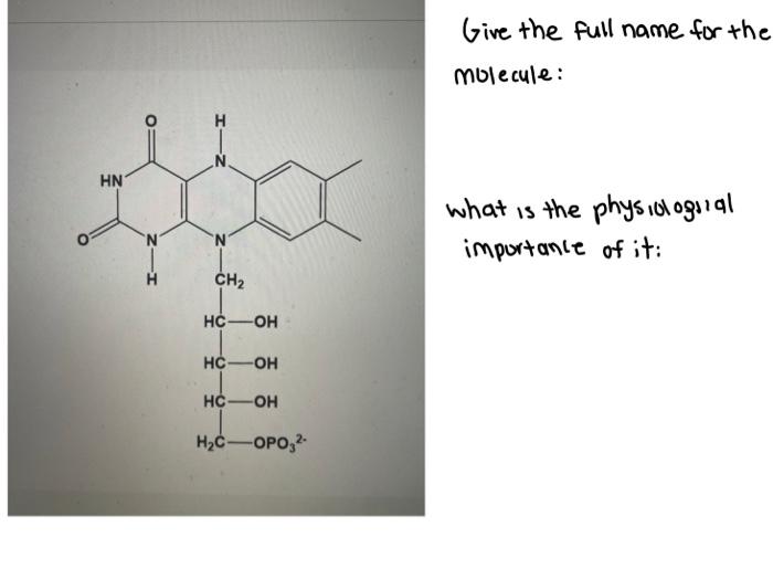 Solved HN O HIN N CH₂ HC OH HC OH HC OH H₂C OPO3² Answer Chegg