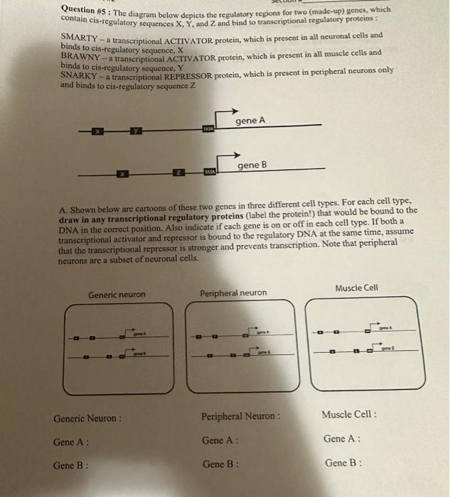 Solved Question The Diagram Below Depicts The Chegg