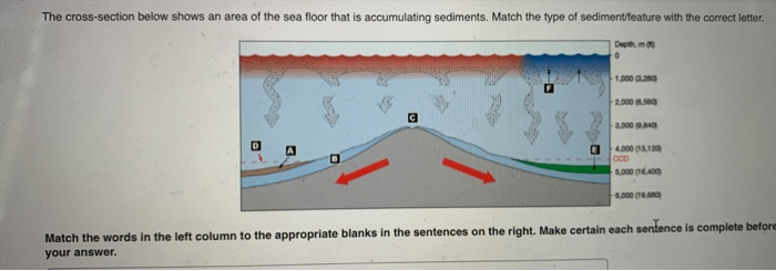 Solved The Cross Section Below Shows An Area Of The Sea Chegg