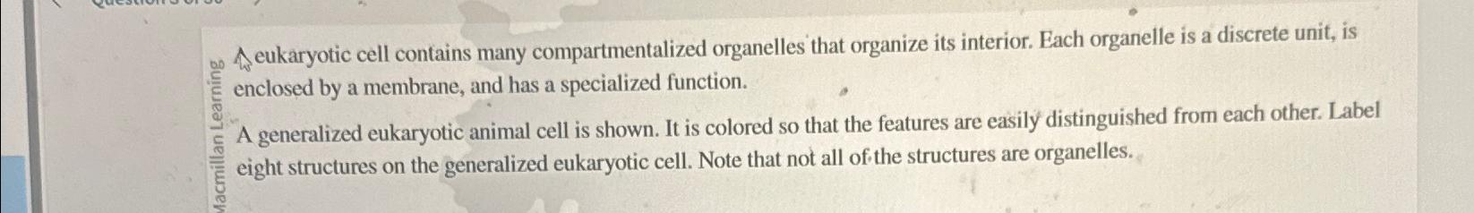 Solved A Eukaryotic Cell Contains Many Compartmentalized Chegg