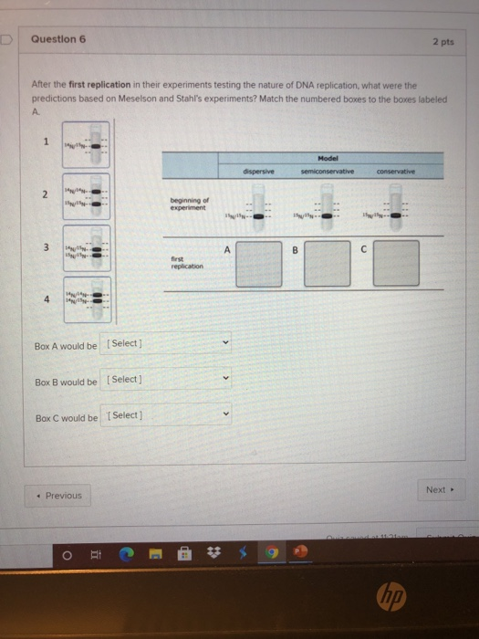 Solved Question Pts After The First Replication In Their Chegg