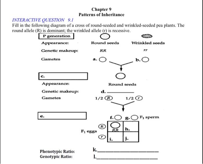 Solved Patterns Of Inheritance Interactive Question Fill Chegg