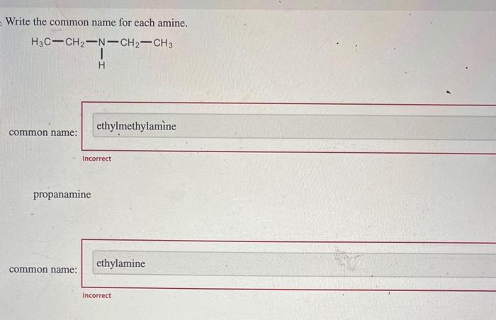 Solved Write The Common Name For Each Amine Common Name Chegg