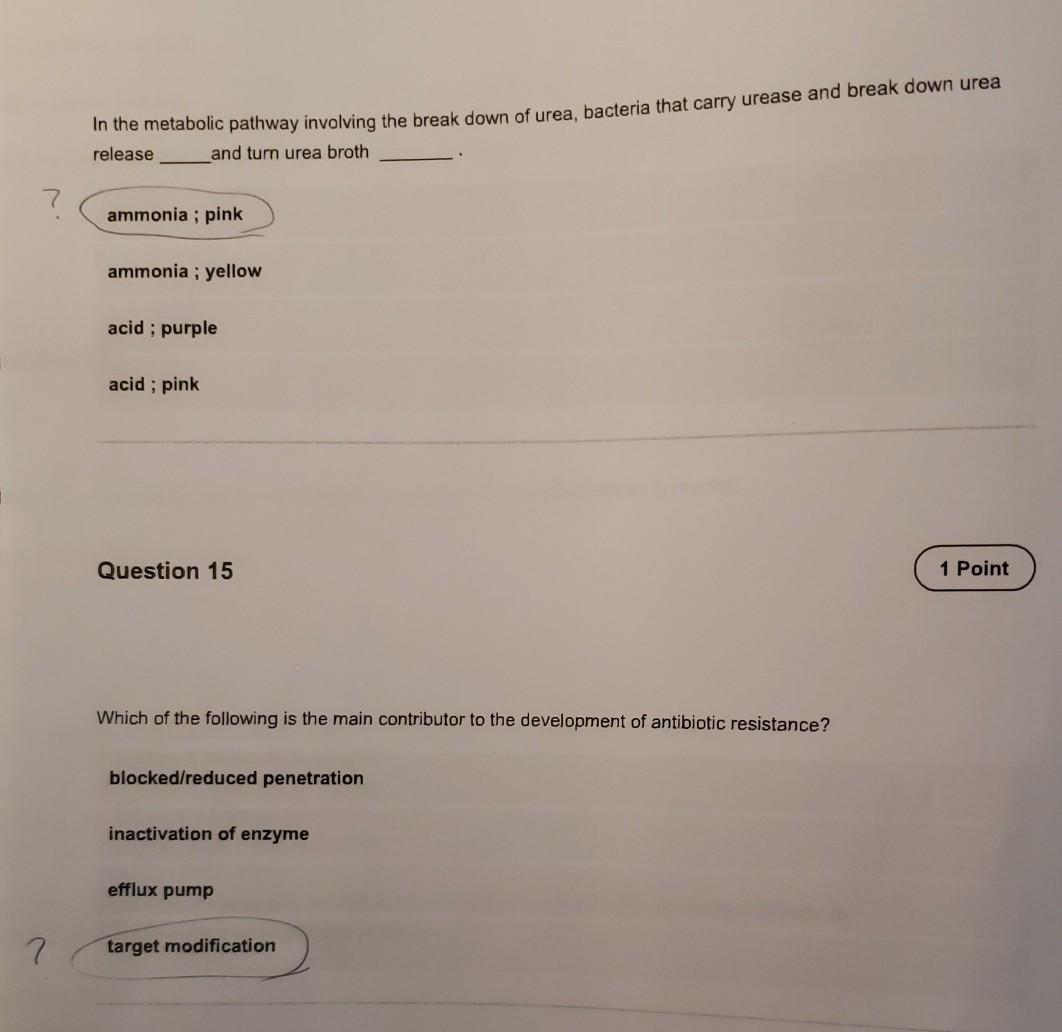 Solved A Kirby Bauer Sensitivity Test Using Staphylococcus Chegg