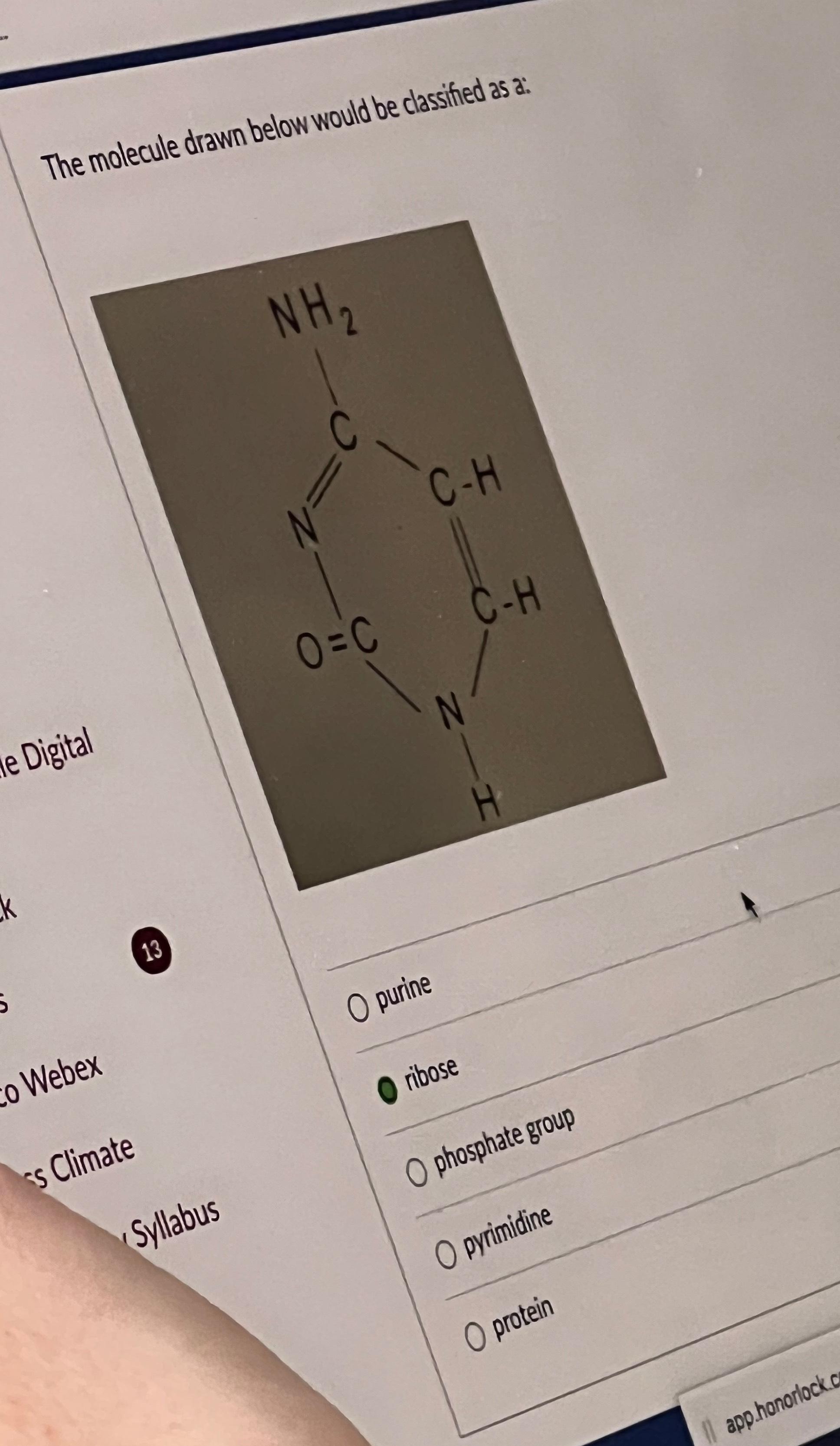 Solved The Molecule Drawn Below Would Be Classitied As A O Chegg