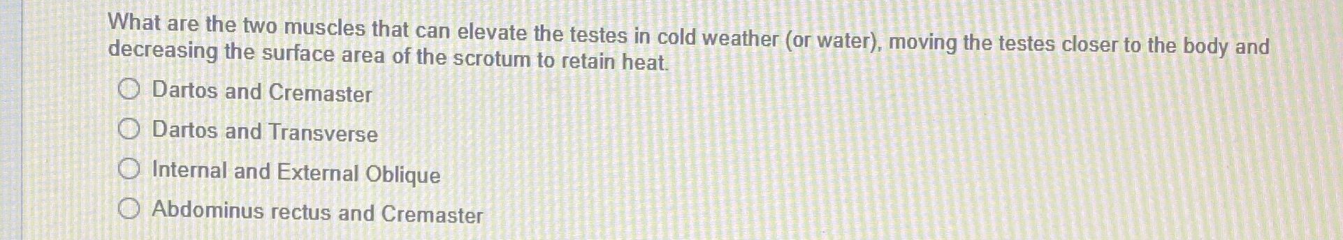 Solved What Are The Two Muscles That Can Elevate The Testes Chegg